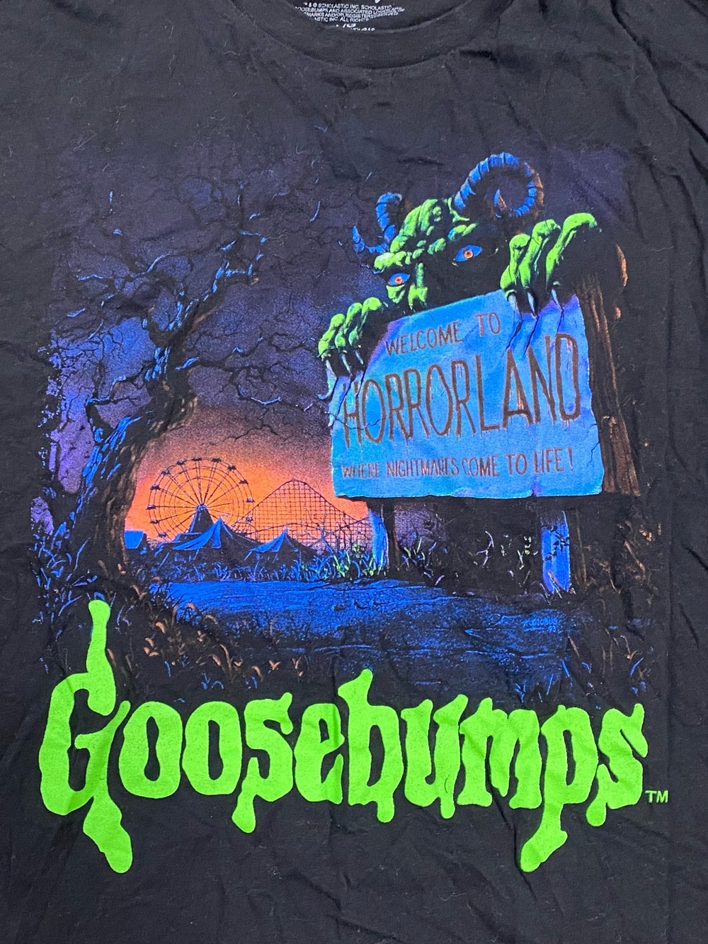 Welcome to Horrorland Goosebumps T-Shirt size Large fits like Medium
